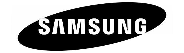 Samsung Logo